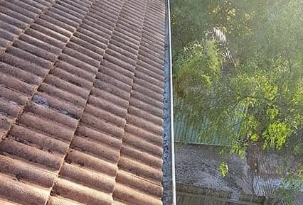 Professional Gutter Cleaning